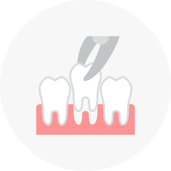 Wisdom Tooth